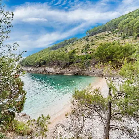 Robinson Style House