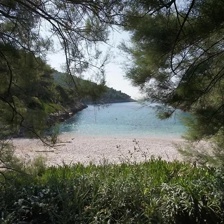 Robinson Style House *